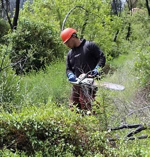Crew performing common-area brush clearing in an HOA community